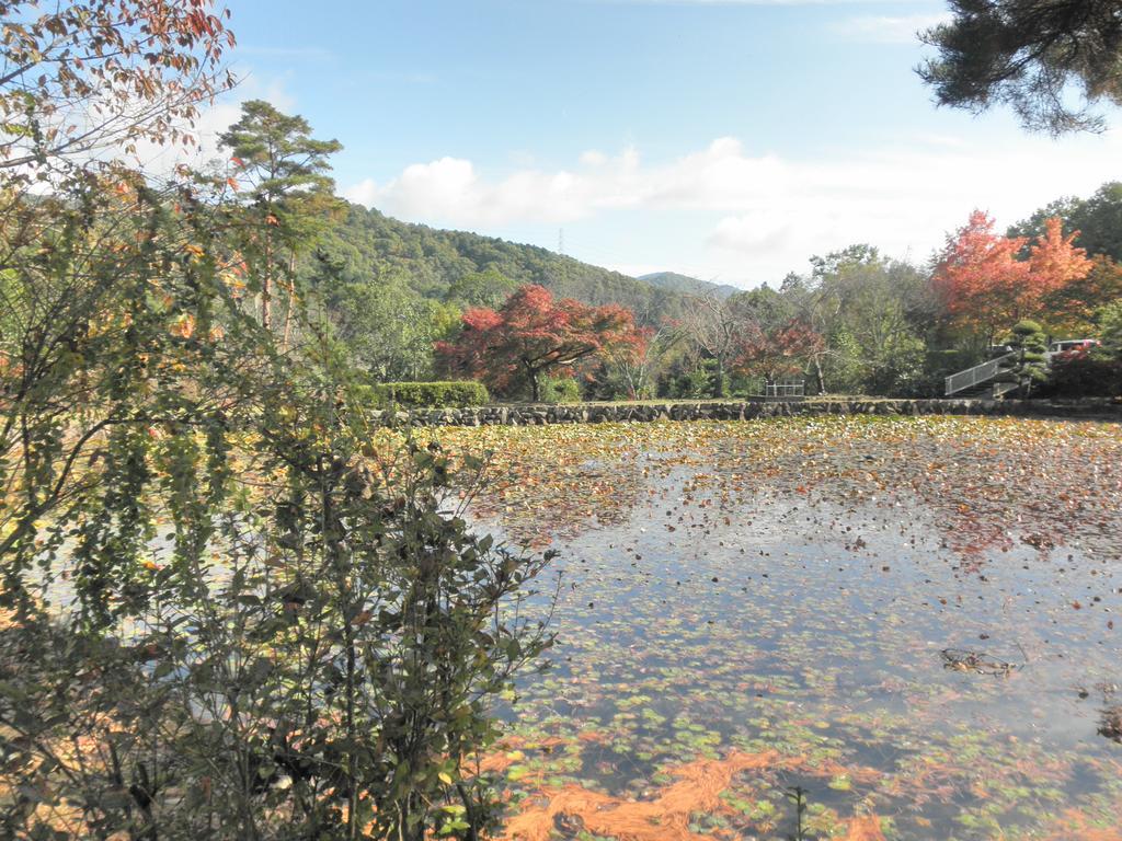 Maple Inagawa Otel Kawabe  Dış mekan fotoğraf