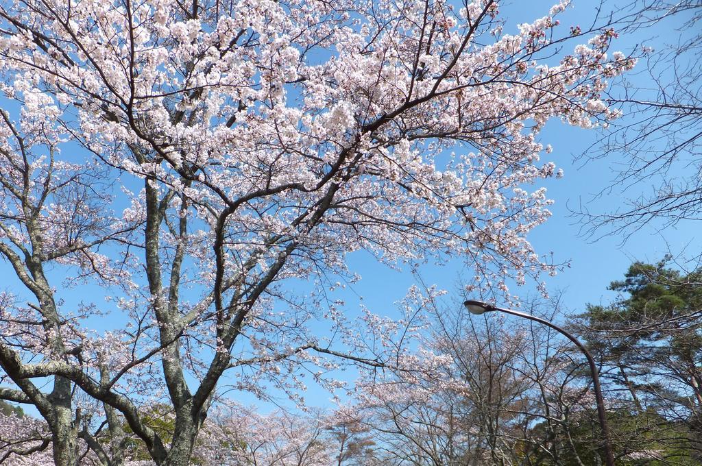 Maple Inagawa Otel Kawabe  Dış mekan fotoğraf